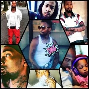 Meet your Posher, Austin